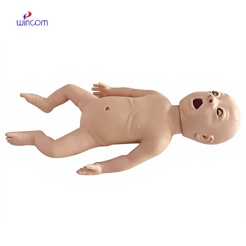 Care & Maintenance of microscope diagram